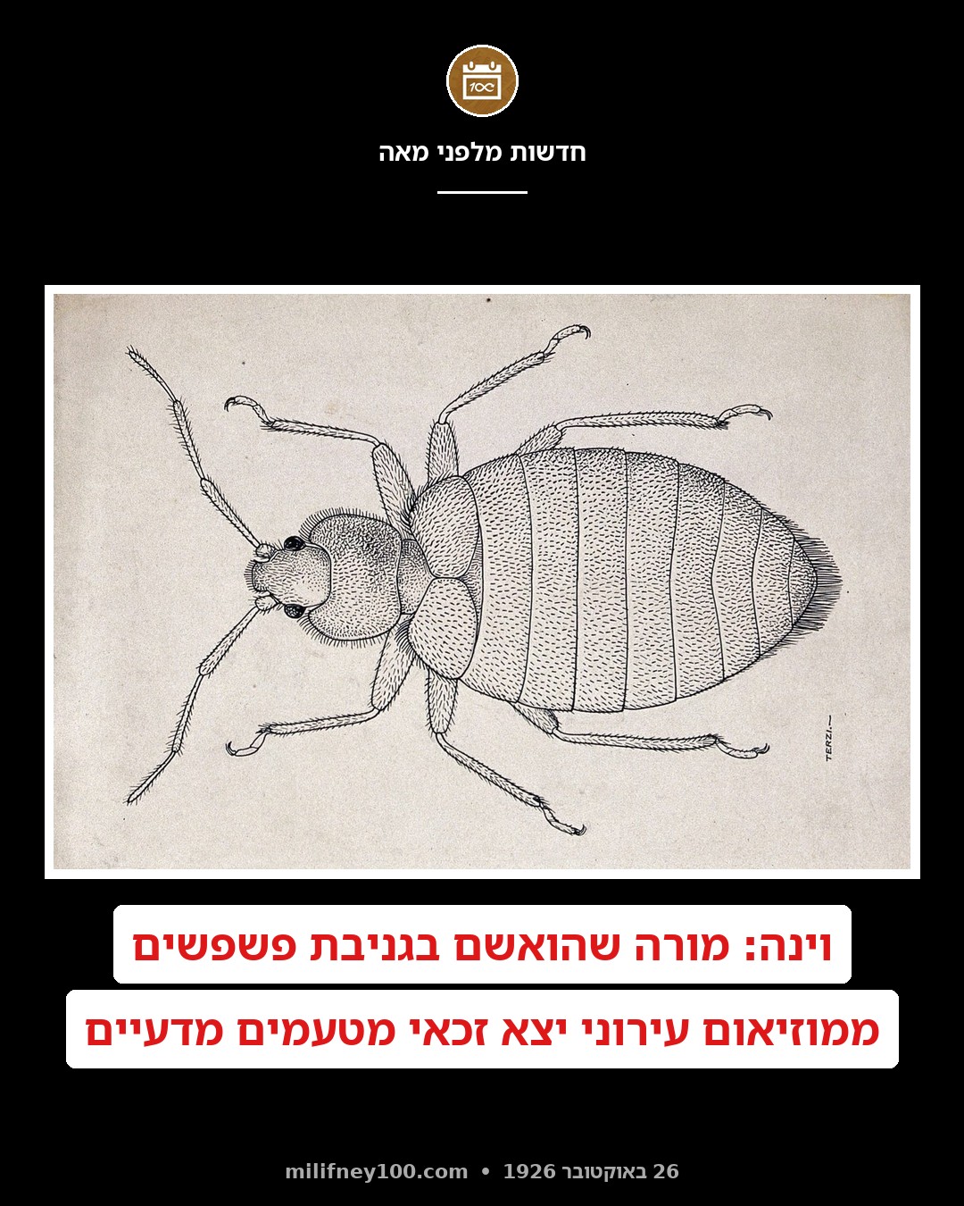 גנב פשפשים מגן חיות ויצא זכאי!
