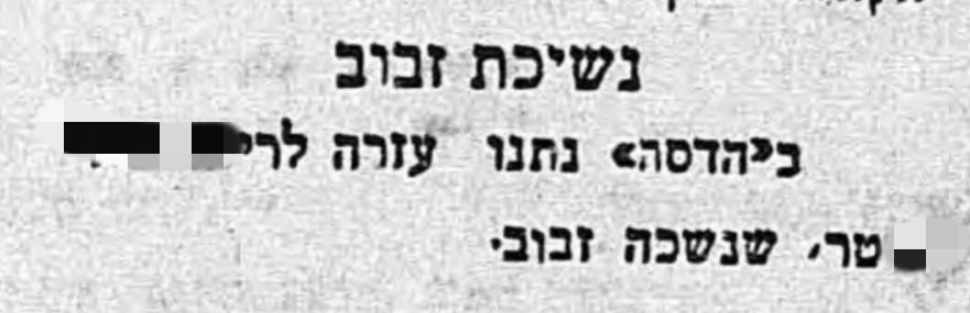 אסון – זבוב נשך אישה!