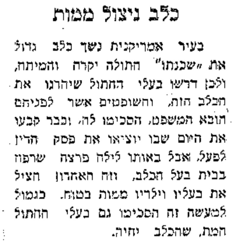 כלב ניצול ממוות!